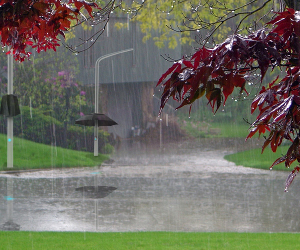 lambrella